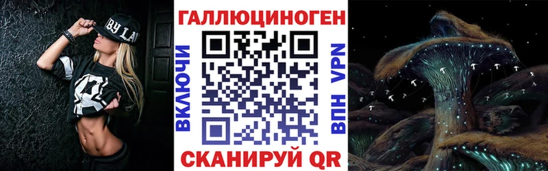 Галлюциногенные грибы Psilocybine cubensis  закладка  Стародуб 